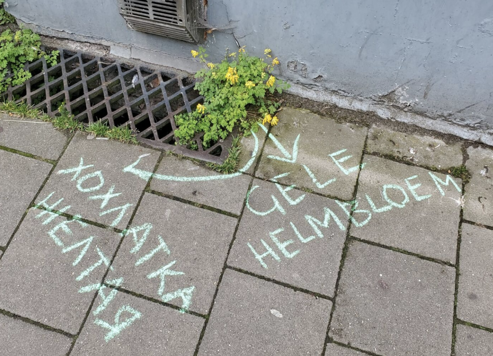 Rabot in Bloei