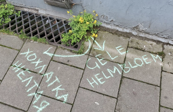 Rabot in Bloei