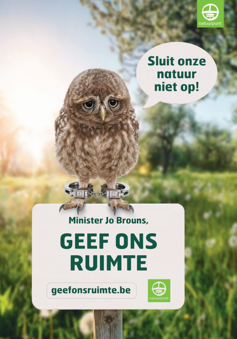 A2 Affiche sluit de natuur niet op Steenuil