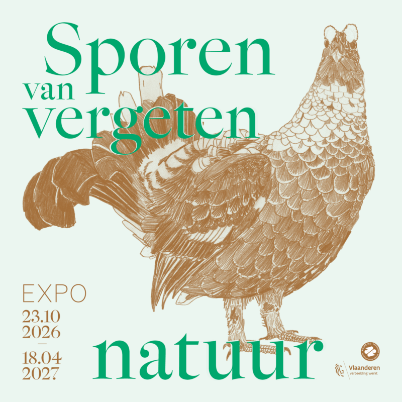 AMASB Sporen website 900x900